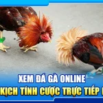 37.xem da ga online – tan dau kich tinh cuoc truc tiep de thang 4