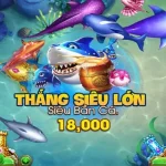 ban ca b52 20251115 135752 4